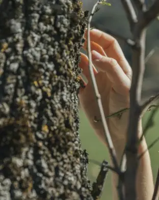 Zakládání a údržba zeleně